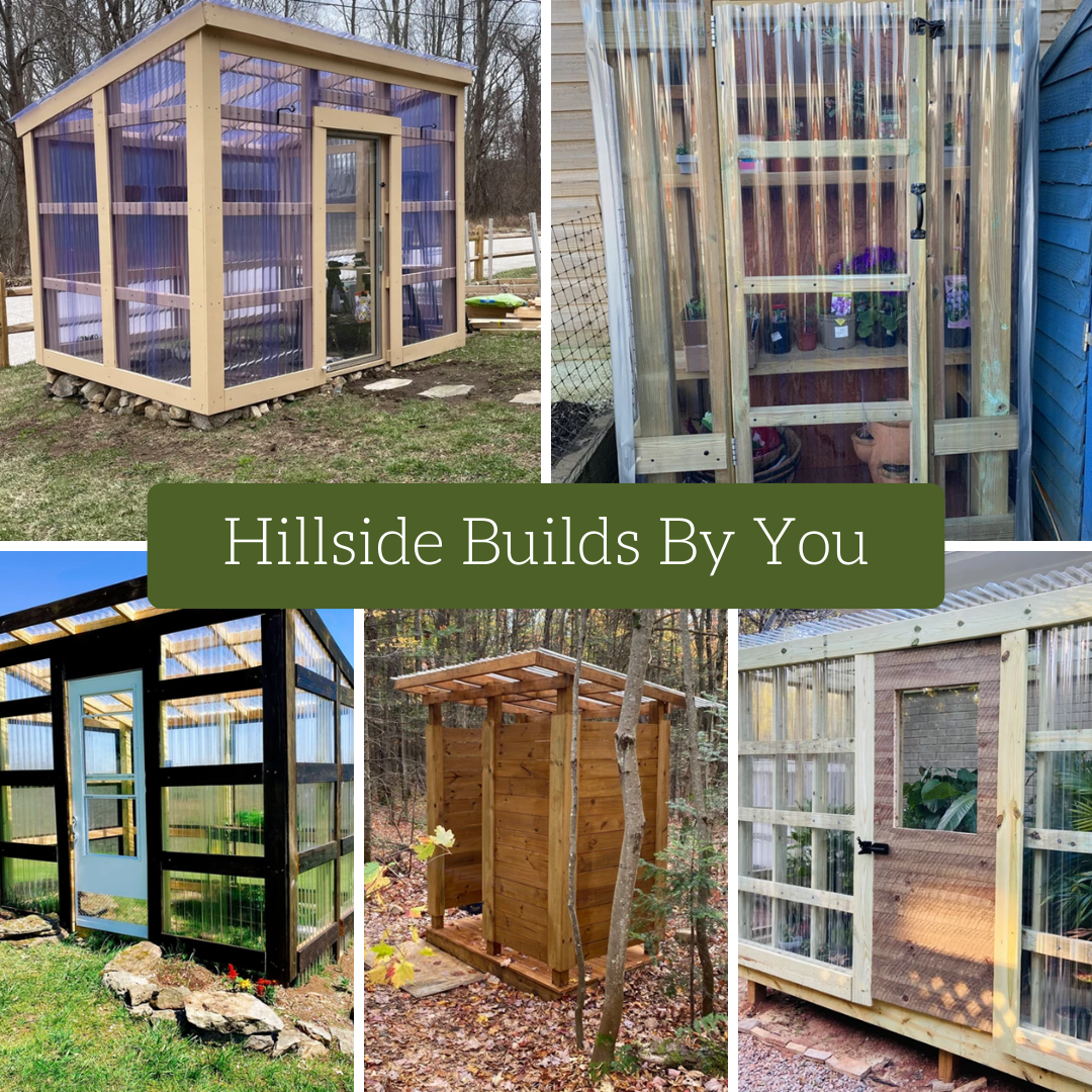 Olive — Built for Sunny Picnics The Hillside Market