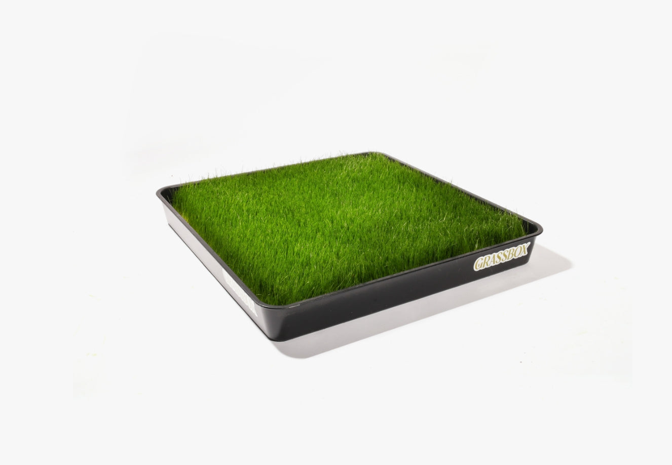 Optional Reusable Tray Grassbox
