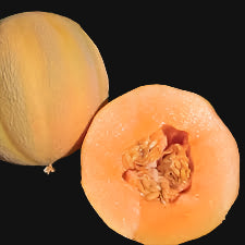 Minnesota Midget Melon Metchosin Farm