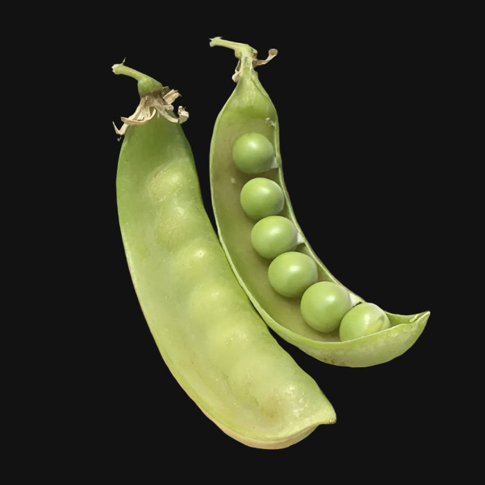 Oregon Sugar Pod Pea Metchosin Farm