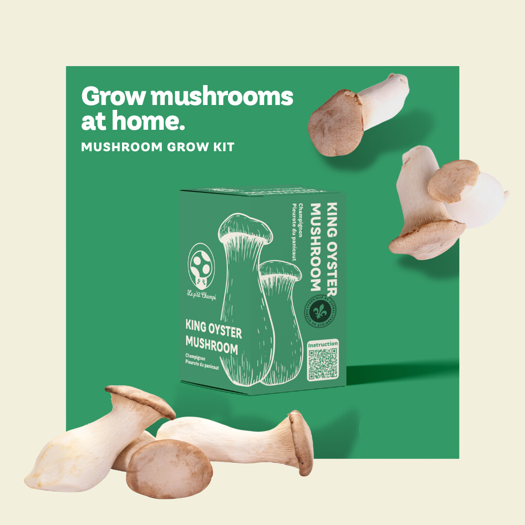 King Oyster Mushroom Kit Le Petit Champi