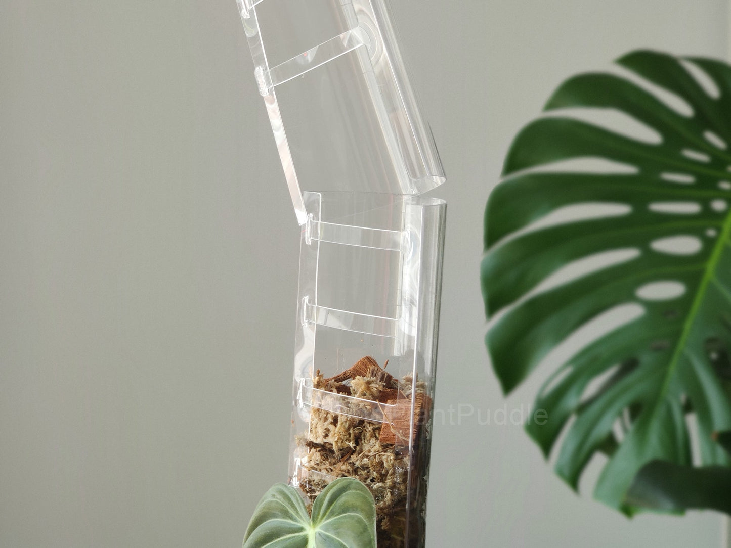 Front Opening Moss Pole - Clear Durable Plastic The Plant Puddle