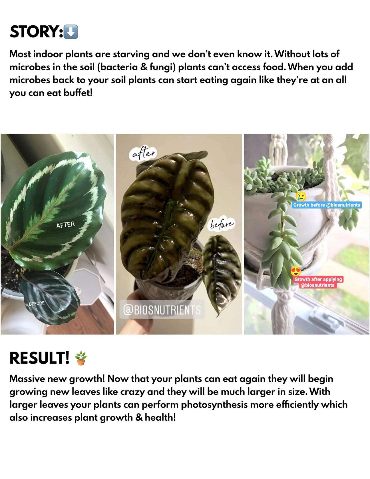 Bios Natural Plant Fertilizer Mygreenscape | Buy Plants Online