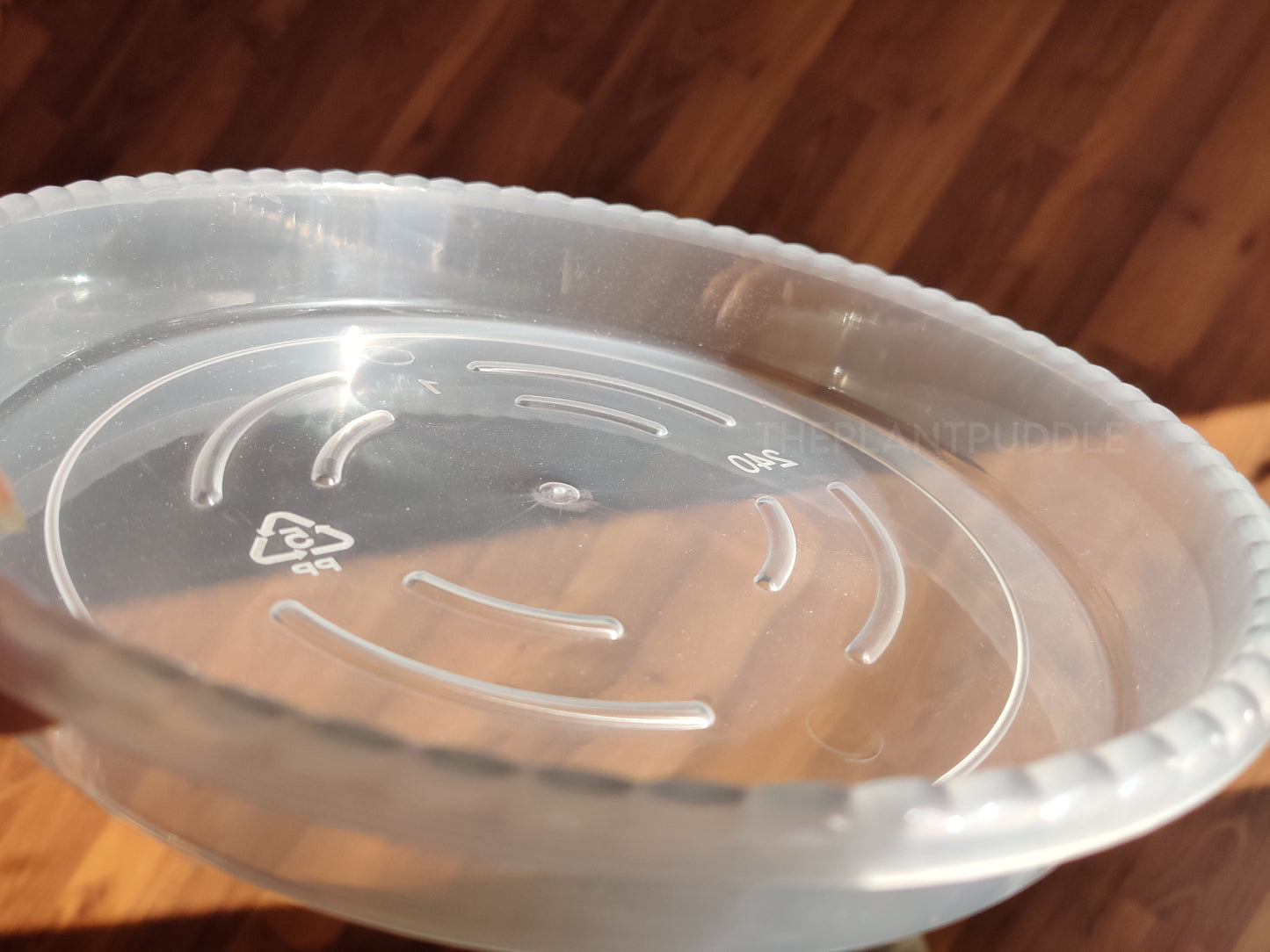 Round Plant Pot Saucers - Durable Translucent Plastic The Plant Puddle