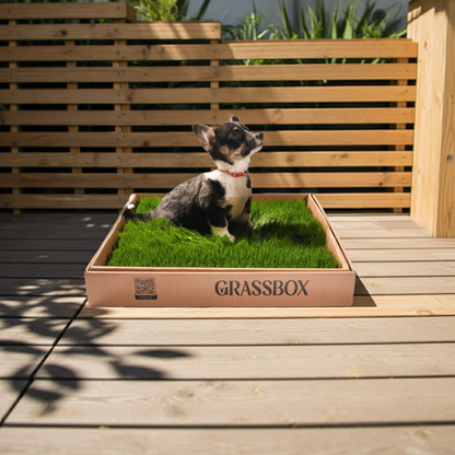 GrassBox Grassbox