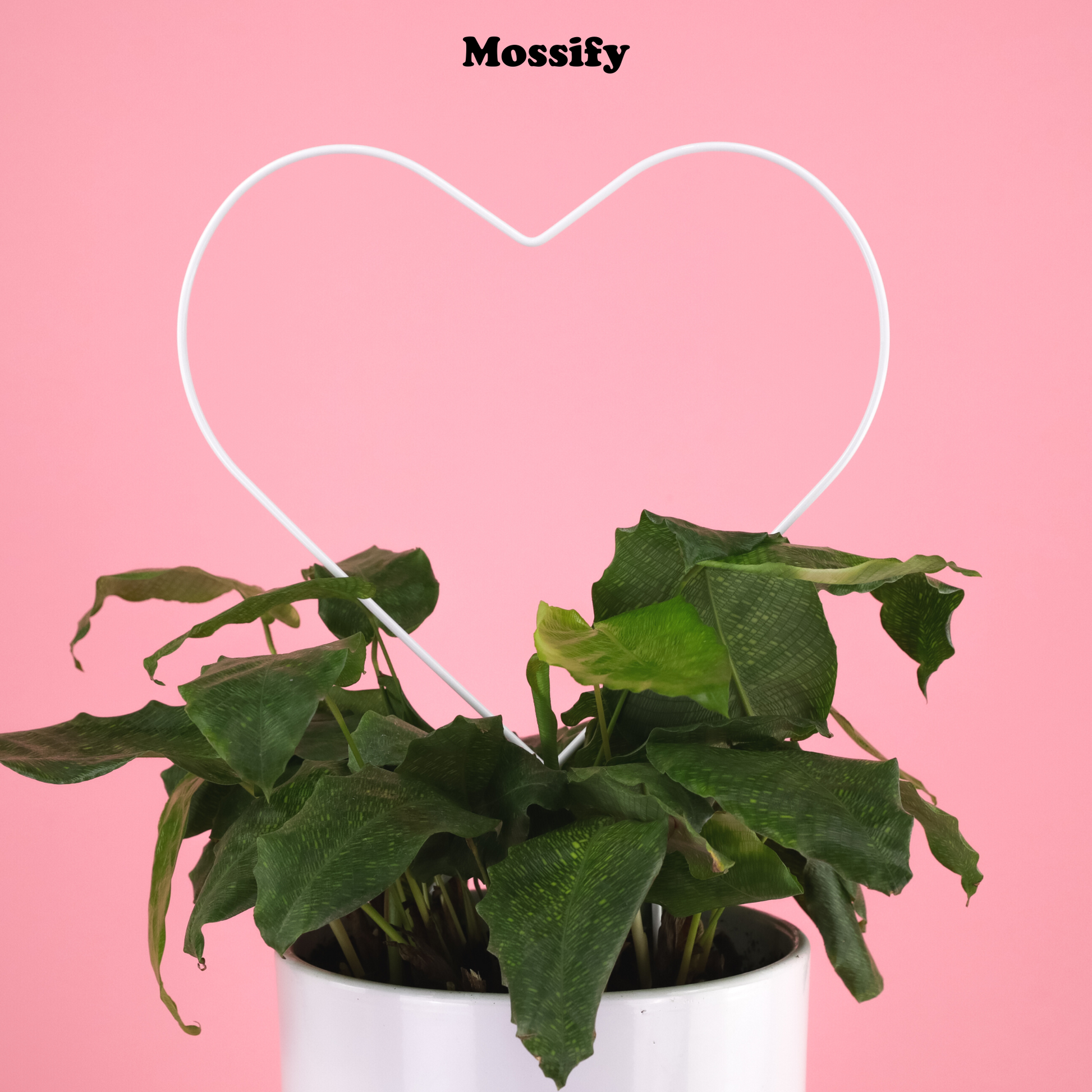 Heart "Give Love" Metal Trellis Mossify