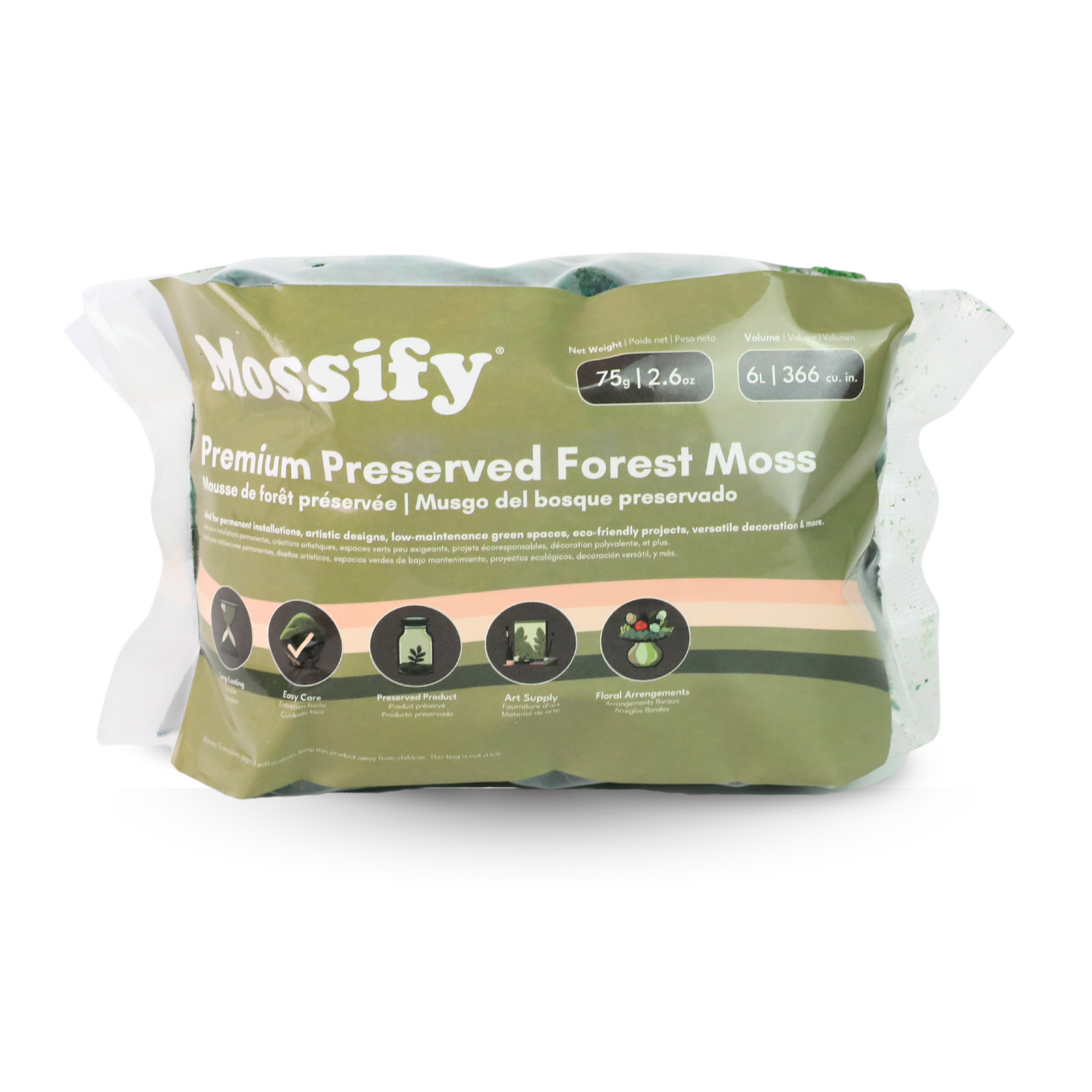 Premium Preserved Forest Moss Mossify
