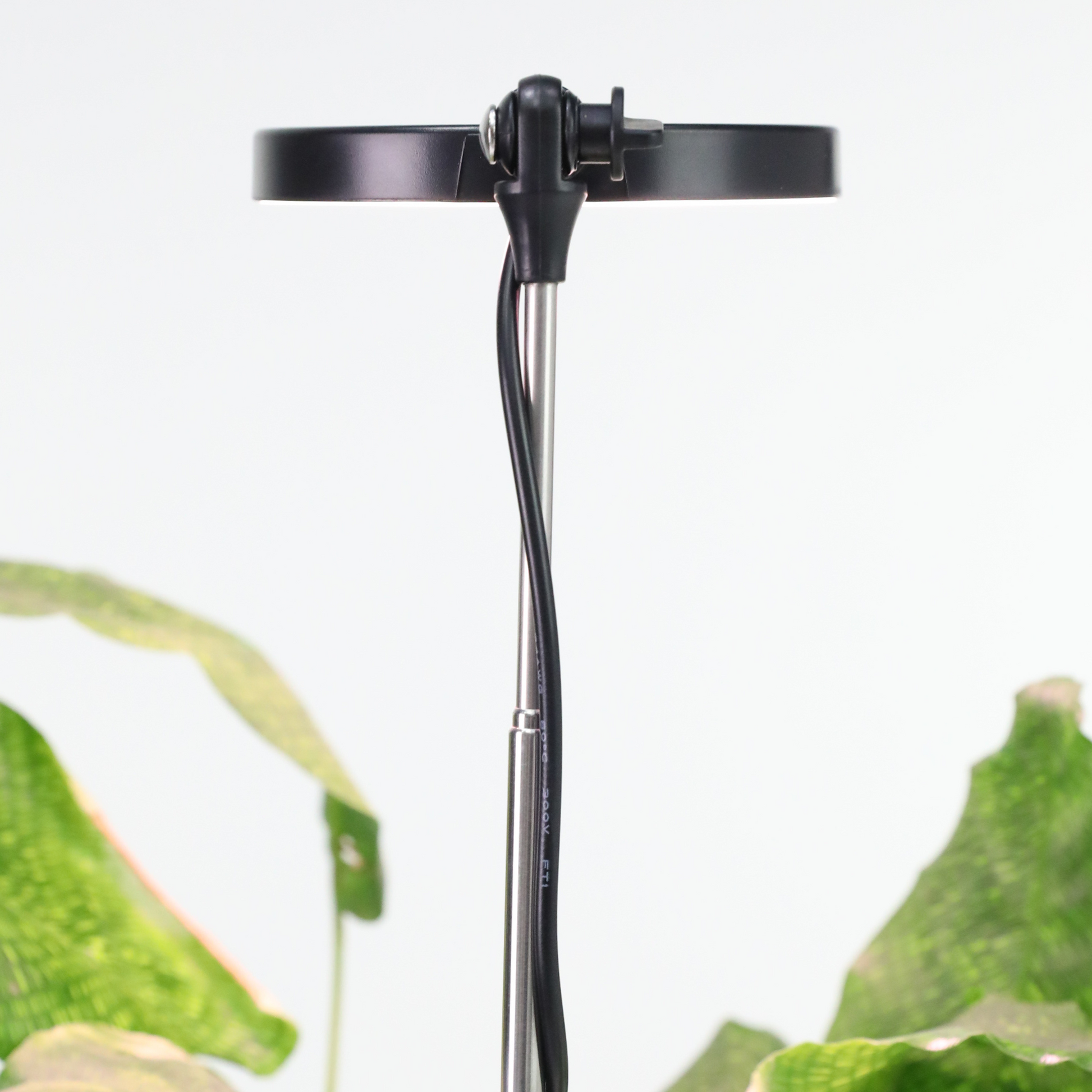 Lampe LED Ajustable pour Plantes – Mossify Mossify