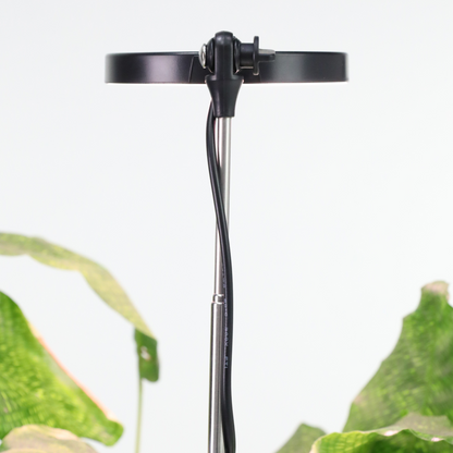 Lampe LED Ajustable pour Plantes – Mossify Mossify
