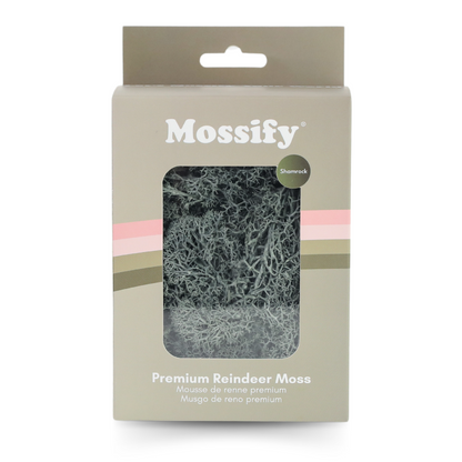 Premium Preserved Reindeer Moss Mossify