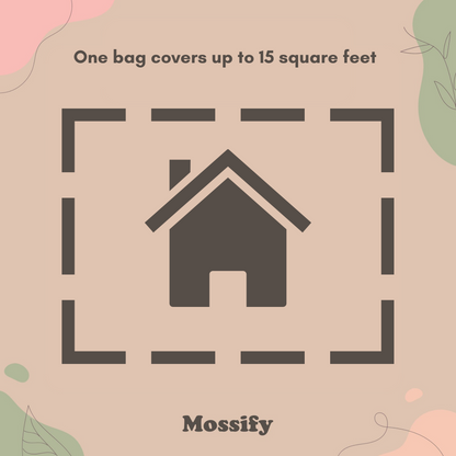 Growable Moss for the Shade Mossify