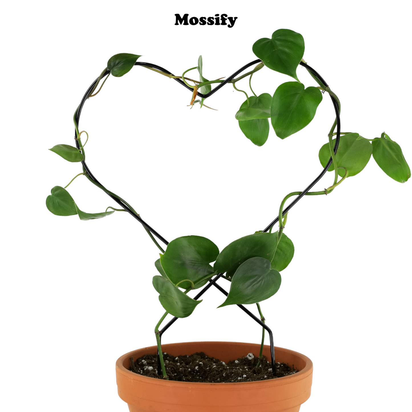 Heart "Give Love" Metal Trellis Mossify