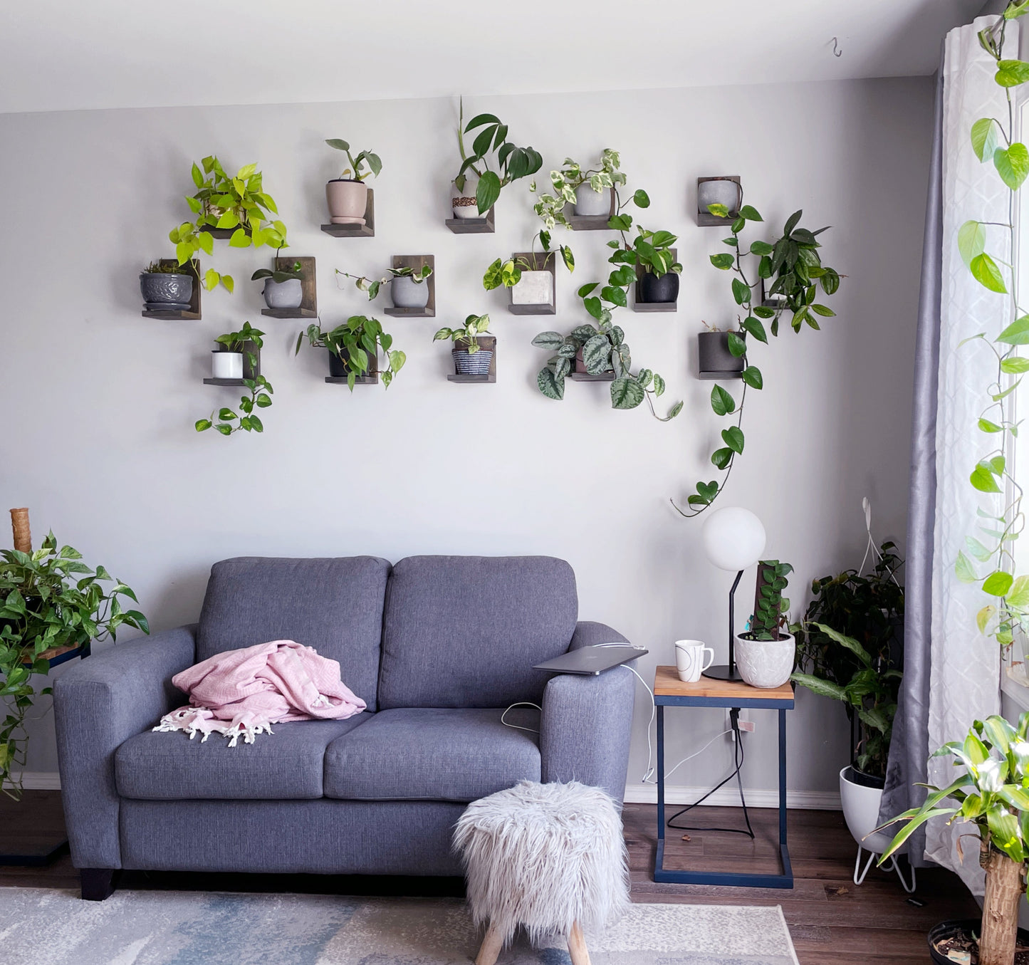 Wall Mounted Solid Wood Gallery Wall Plant Shelf — Dusk Grey (3 pack) Daniel's Plants