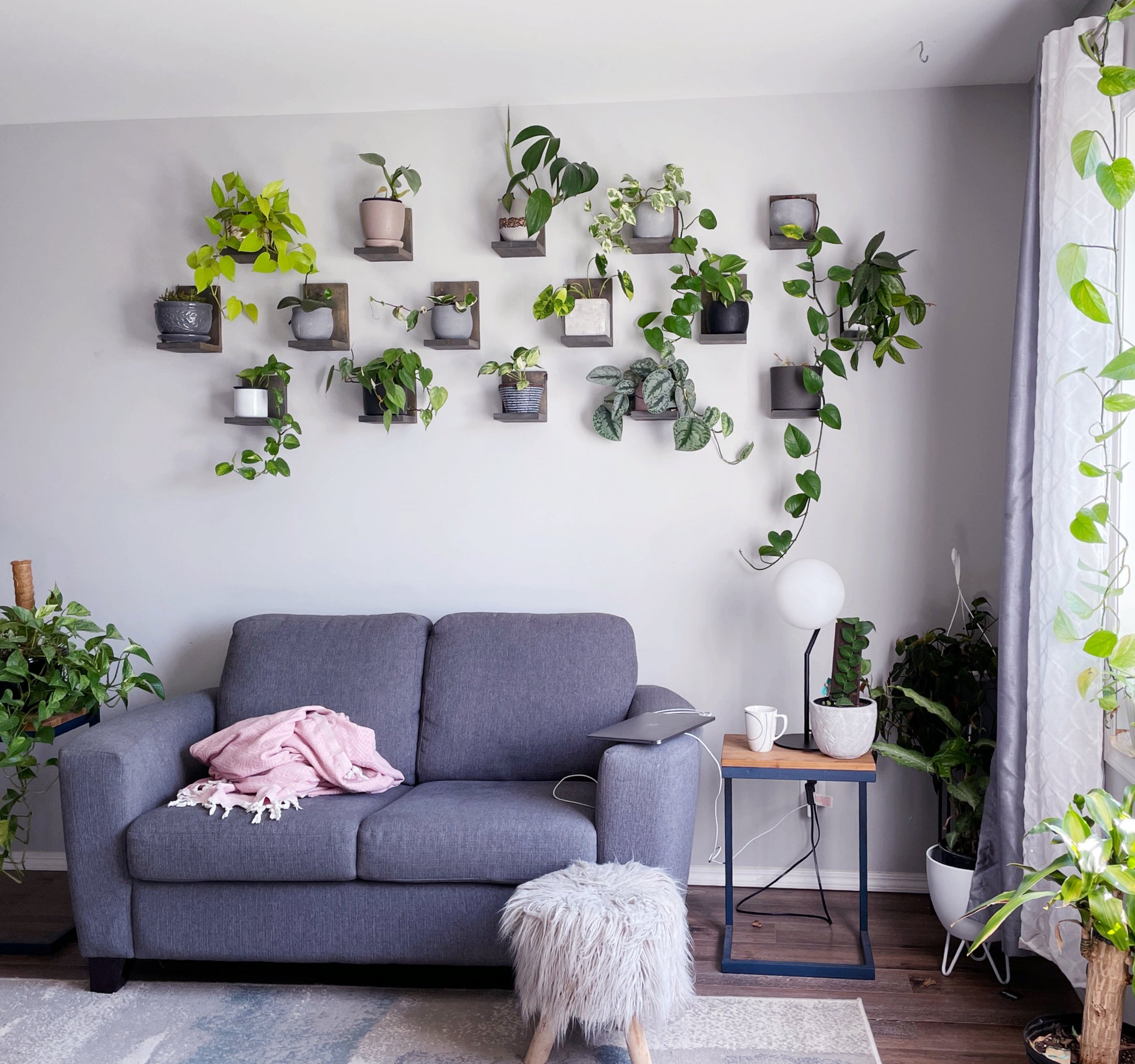Wall Mounted Solid Wood Gallery Wall Plant Shelf — Dusk Grey (3 pack) Daniel's Plants