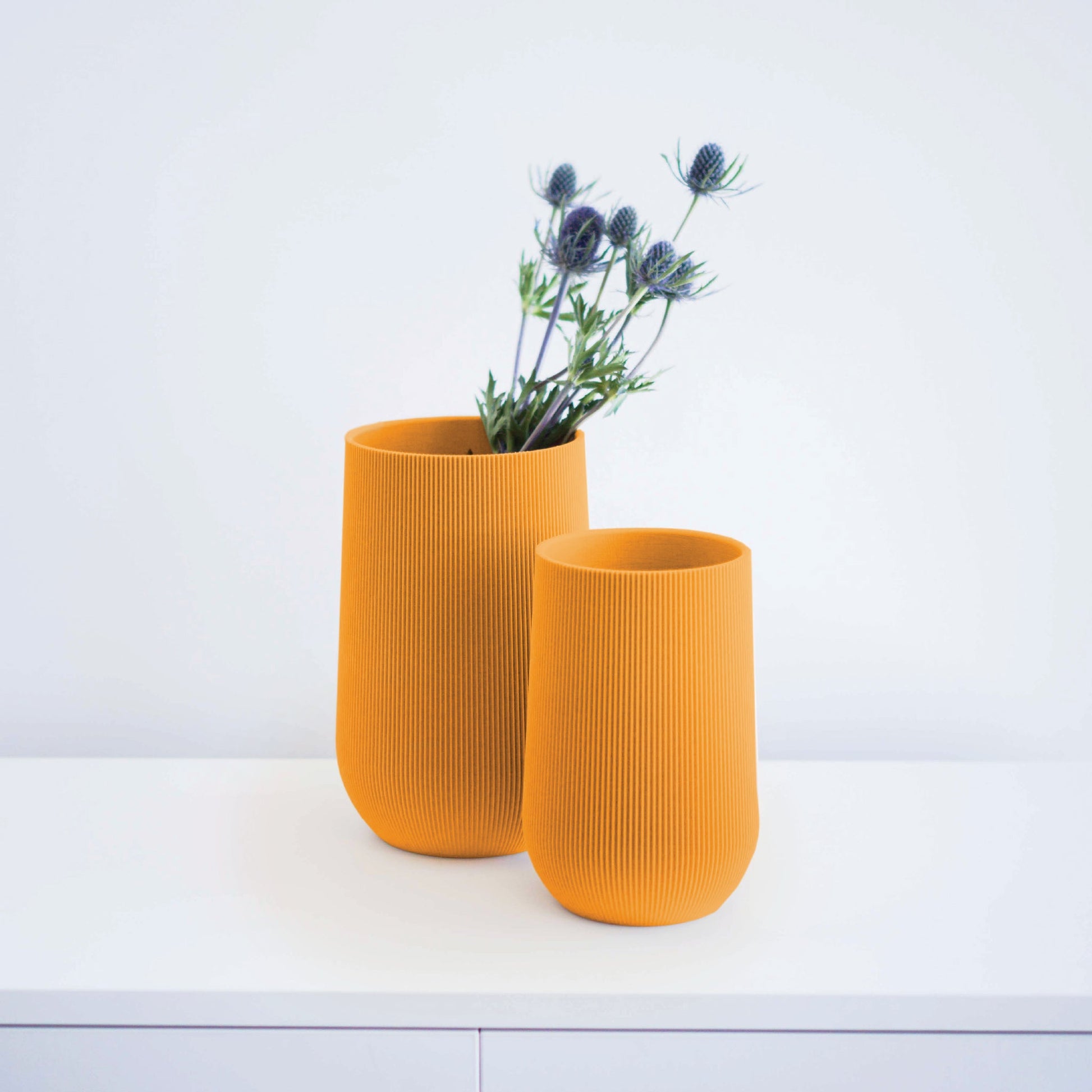 Sequoia Vase Conifer