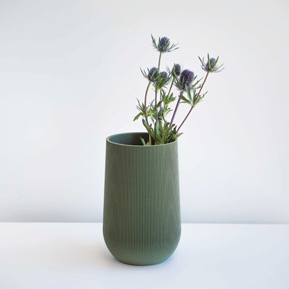 Sequoia Vase Conifer