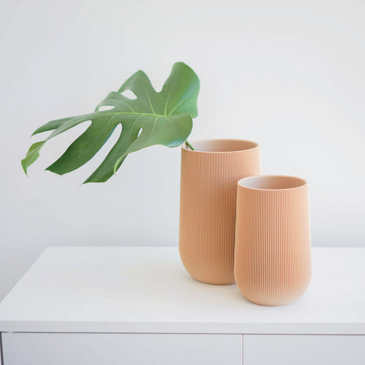 Sequoia Vase Conifer