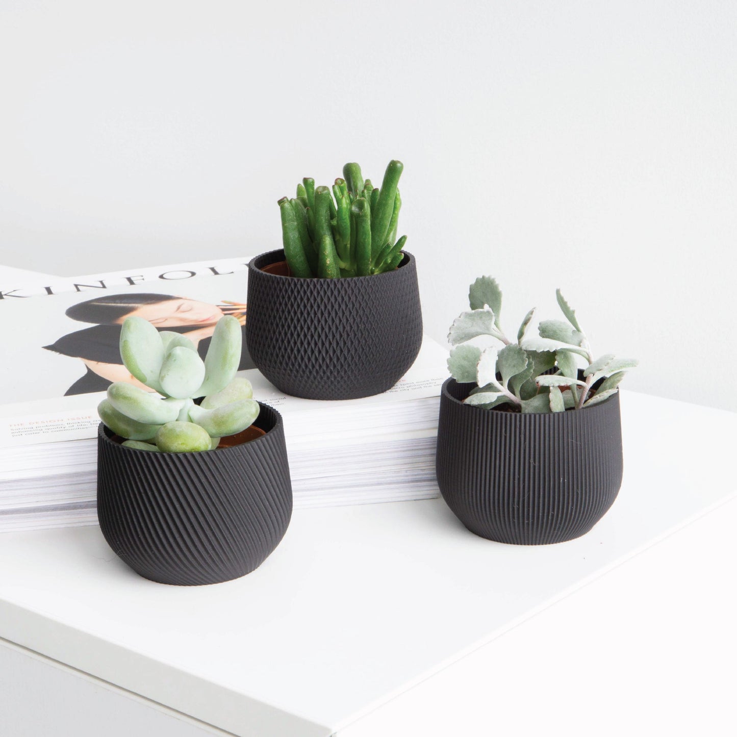 Mini Planter Set Conifer