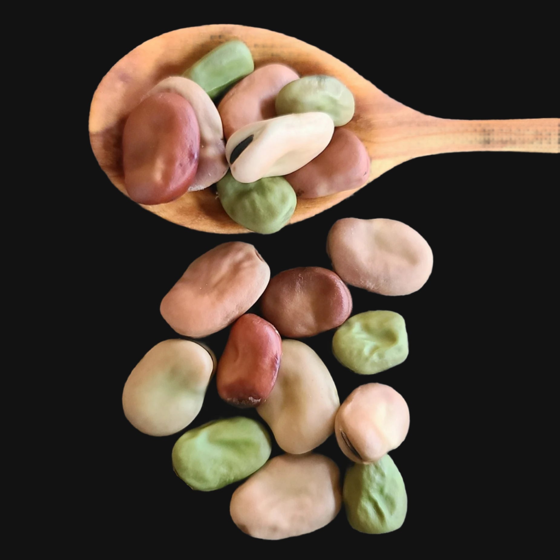 Broad Bean Mix Metchosin Farm