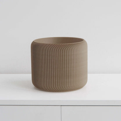 Pine Planter Conifer