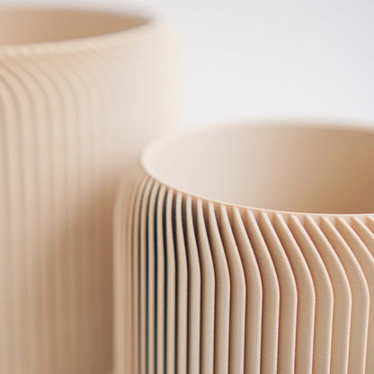 Pine Planter Conifer
