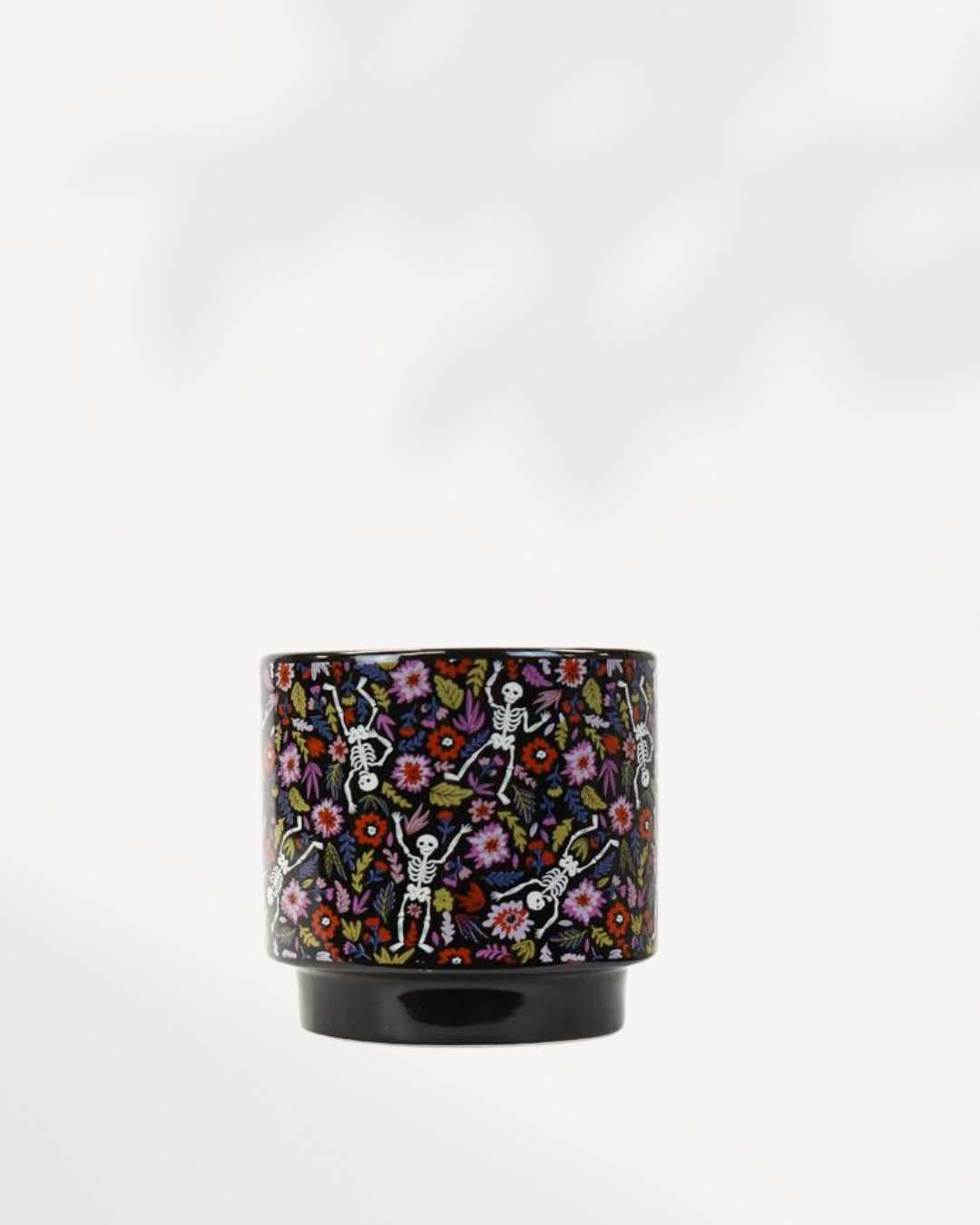 Day of the Dead Pot Mygreenscape | Buy Plants Online