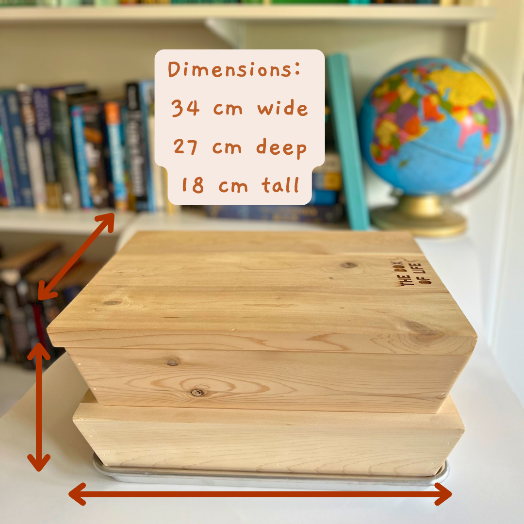 Mini Worm Studio The Box Of Life