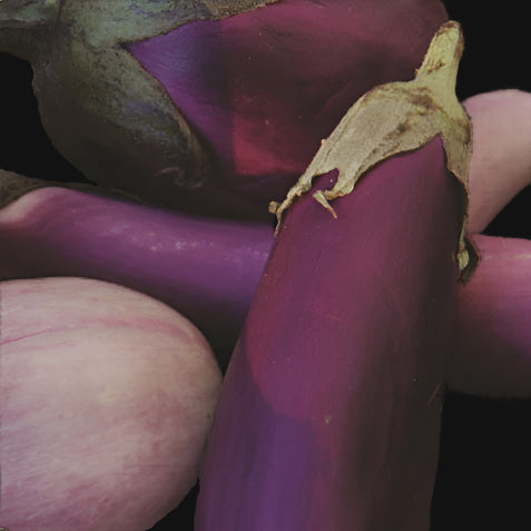 Eggplant Mix Metchosin Farm