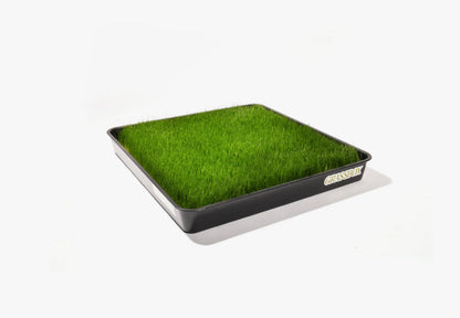 Optional Reusable Tray Grassbox