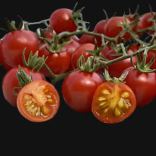 Hawaiian Currant Tomato Metchosin Farm
