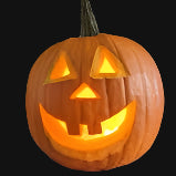 Jack O' Lantern Pumpkin Metchosin Farm