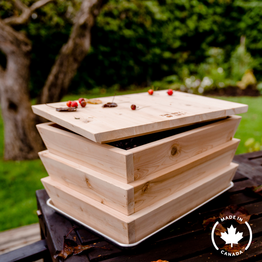 Worm Studio | Made From Canadian Cedar The Box Of Life