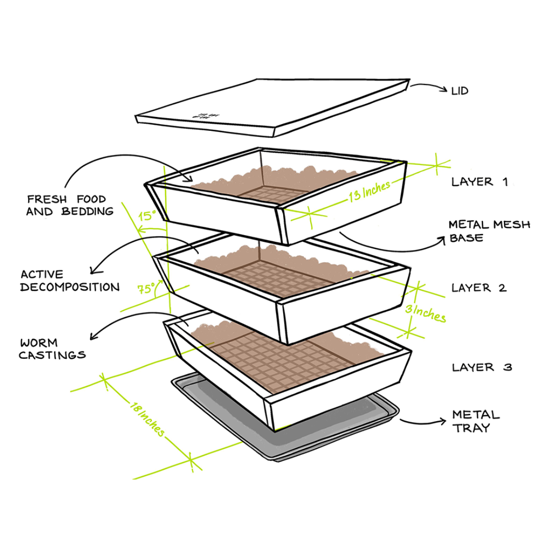 Worm Studio | Made From Canadian Cedar The Box Of Life