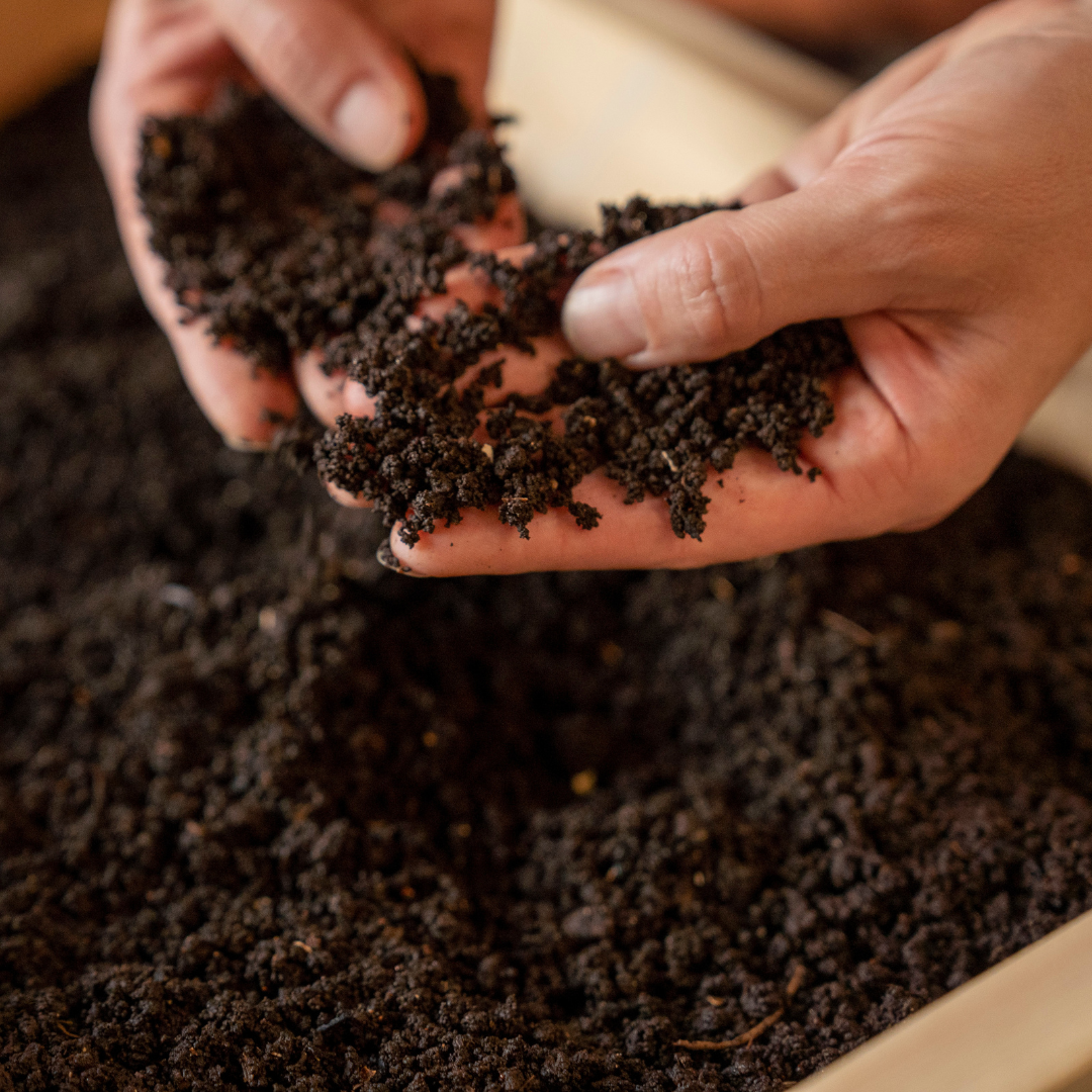 Worm Studio | Made From Canadian Cedar The Box Of Life
