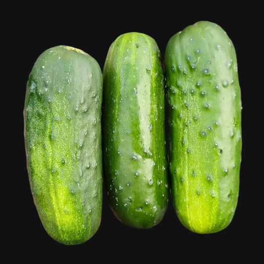 Pickling Cucumber Metchosin Farm