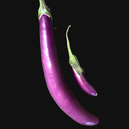 Ping Tung Eggplant Metchosin Farm