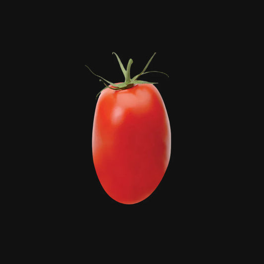 Red Roma Tomato Metchosin Farm