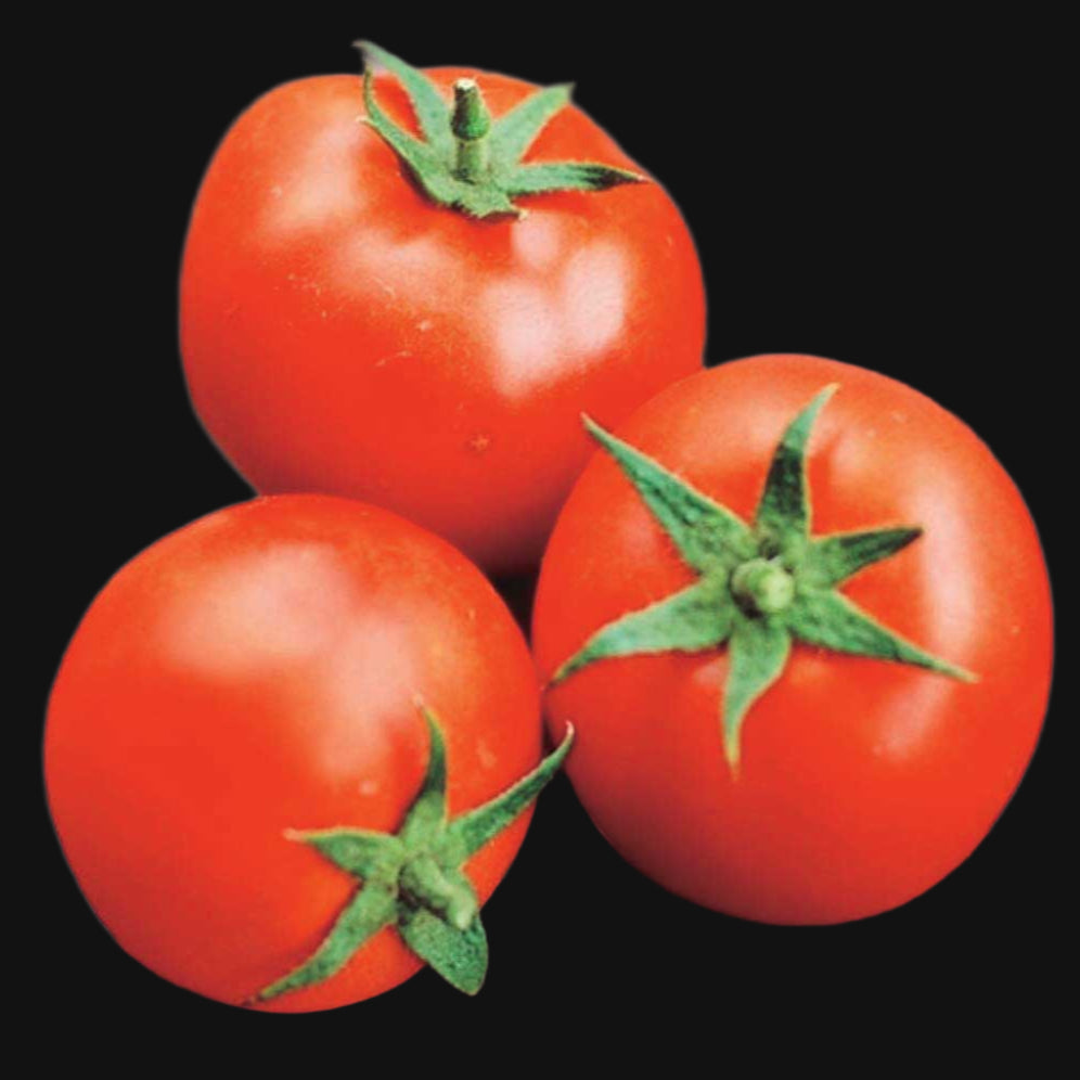 Rocket Tomato Metchosin Farm