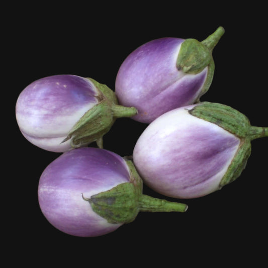 Rosa Bianca Eggplant Metchosin Farm