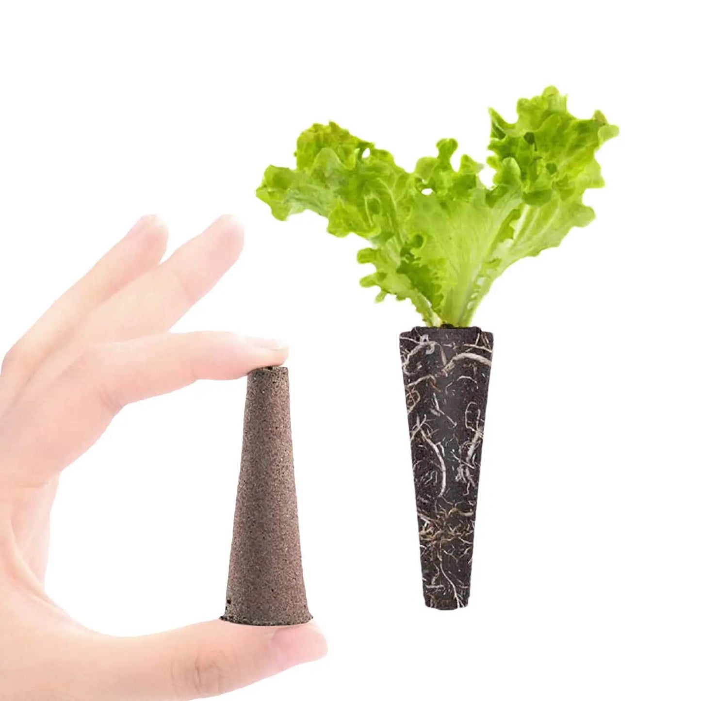 Éponges de Germination Hydroponique – Bouchons de Croissance Racinaire (50 pcs) Vert Un Jardin