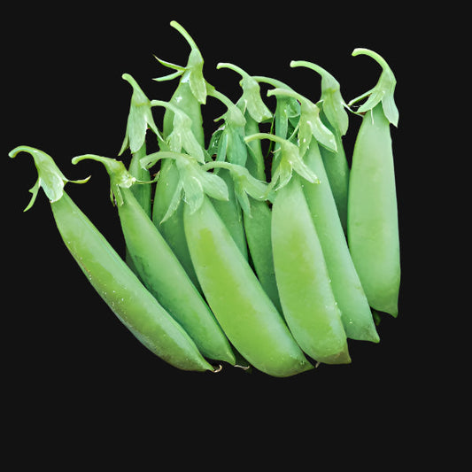 Snap Pea Mix Metchosin Farm