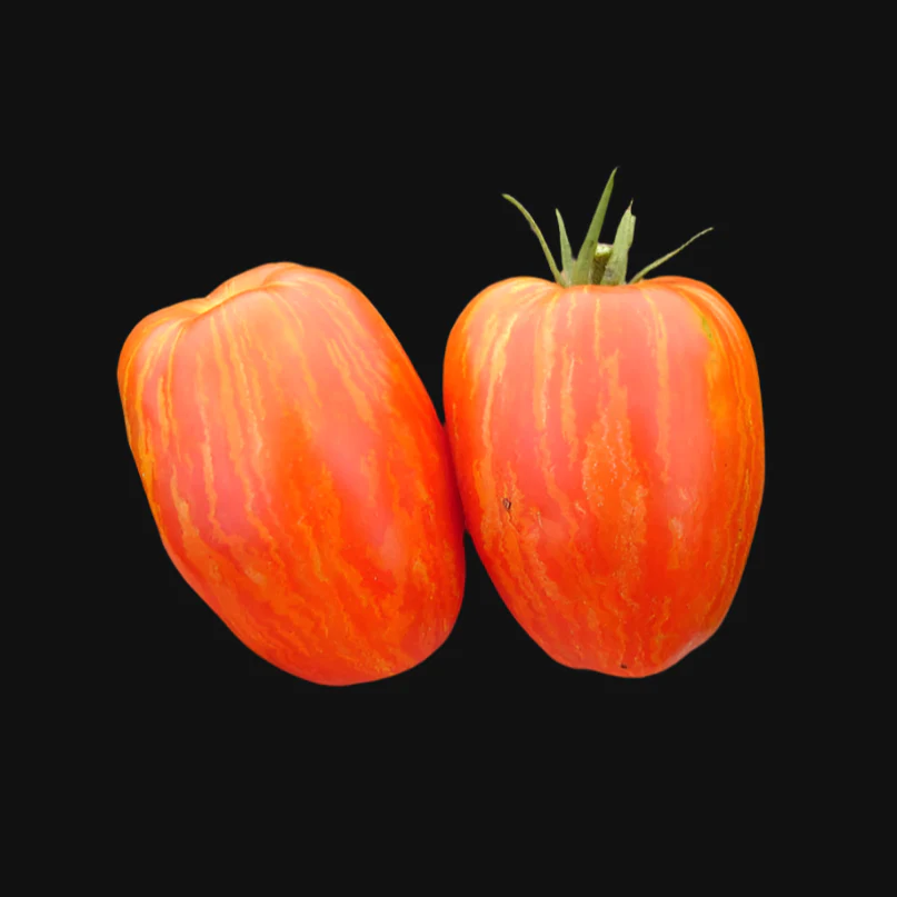 Speckled Roman Tomato Metchosin Farm