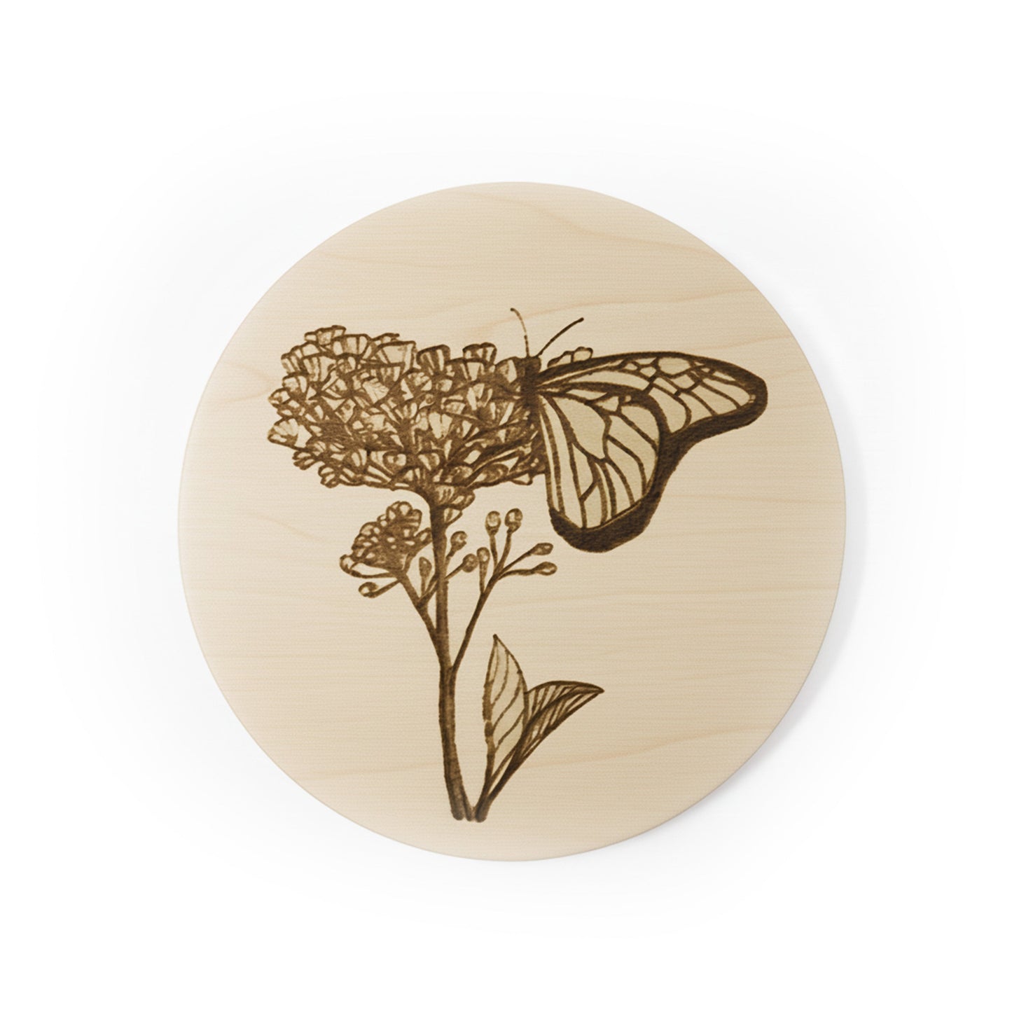 Sous-verres en bois Asclépiade et Monarque - gravés au laser Lasclay