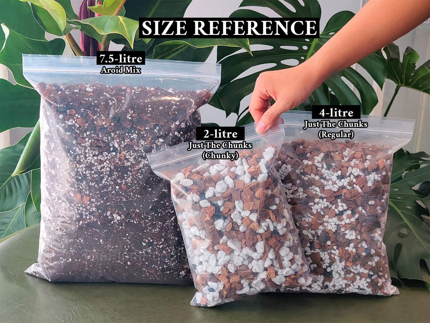 Orchid Potting Mix - A General Mix For Phalaenopsis Orchids The Plant Puddle