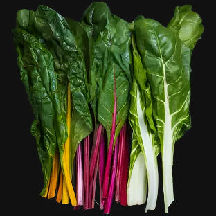 Swiss Chard Mix Metchosin Farm