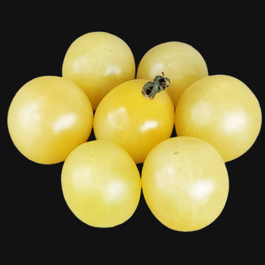 White Cherry Tomato Metchosin Farm