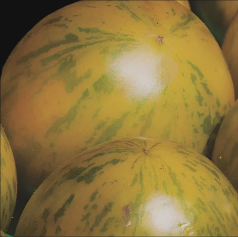 Yellow Zebra Tomato Metchosin Farm