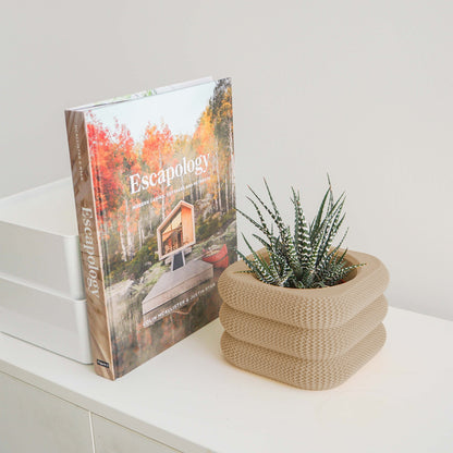 Yew Planter Conifer