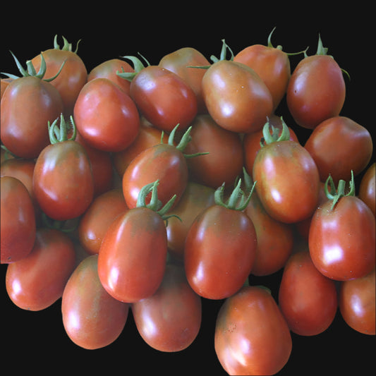 Black Plum Tomato Metchosin Farm