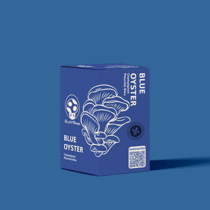 Blue Oyster Mushroom Kit Le Petit Champi